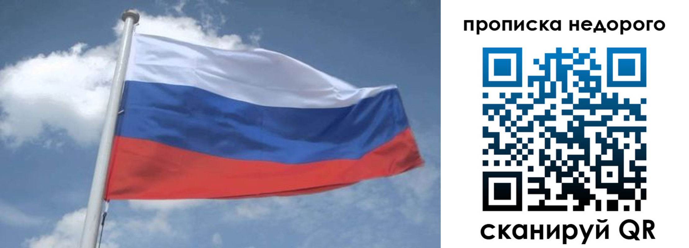 временная регистрация для всех в Ельне