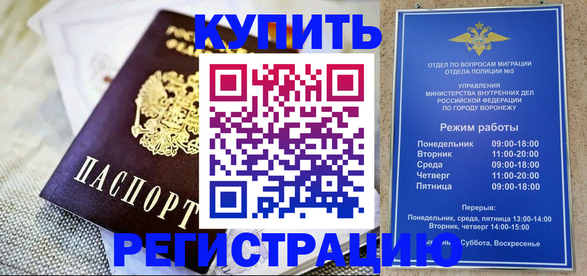 временная регистрация 2025 в Ельне